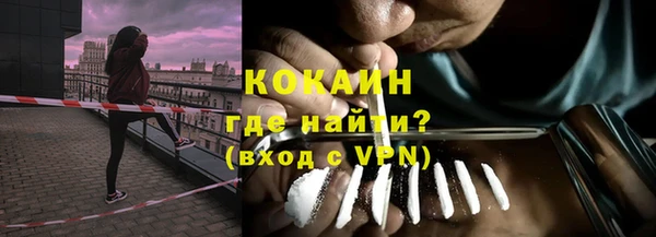 PSILOCYBIN Александровское