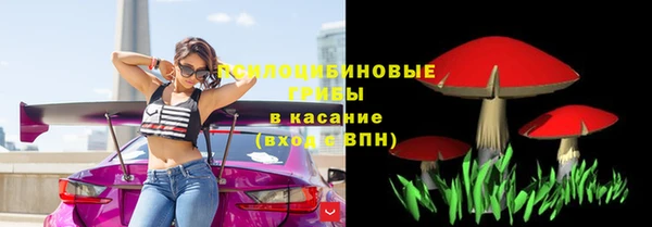 Альфа ПВП Мегион