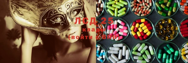 гидра Михайловск