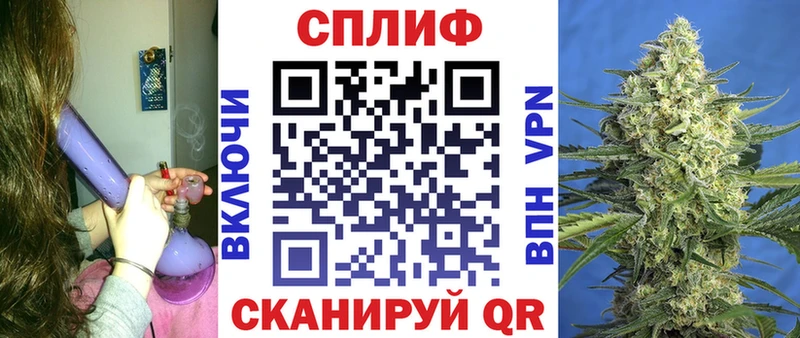 где купить наркоту сайты даркнета наркотические препараты Канабис сатива Ессентукская